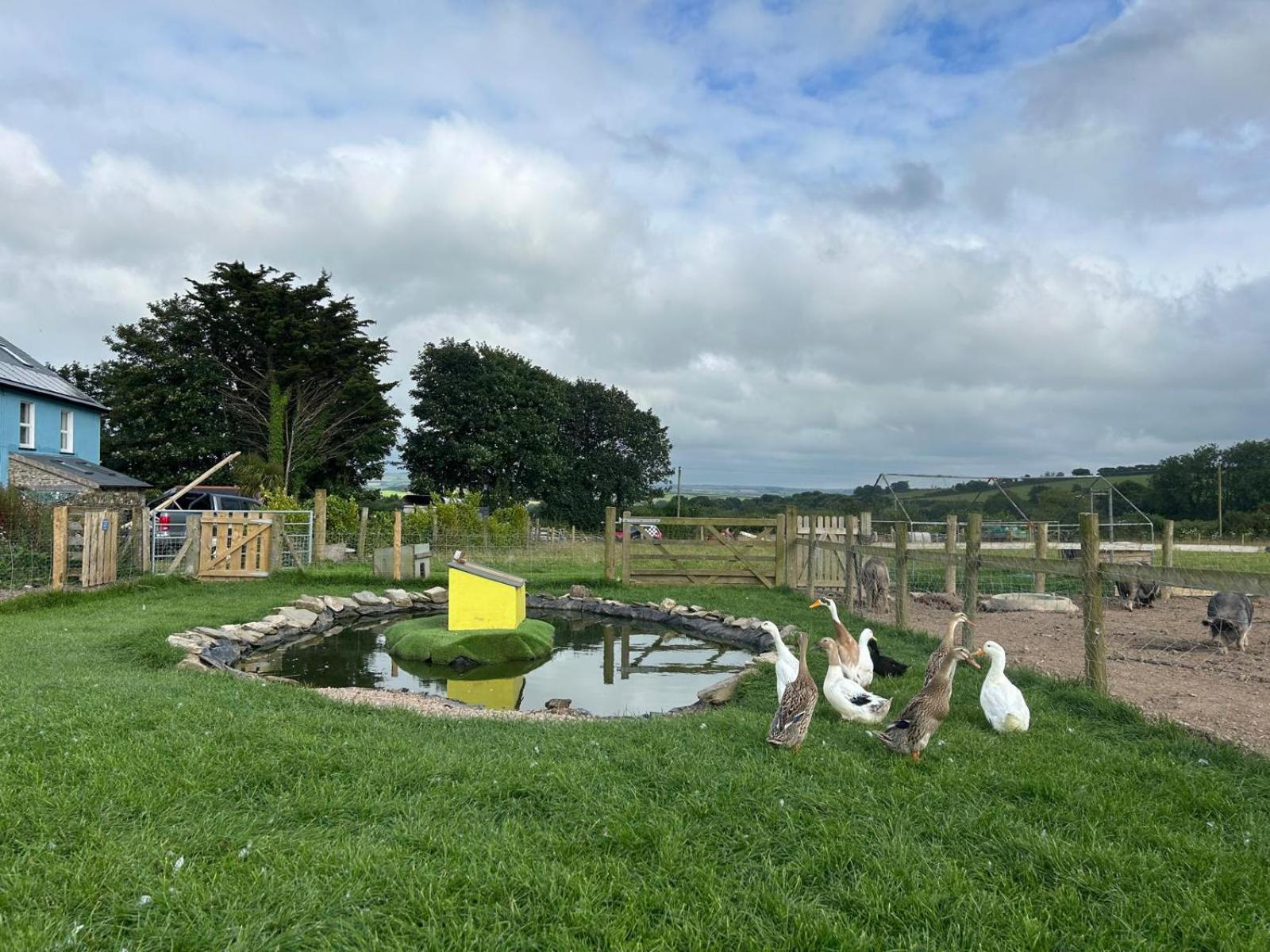 Yetland Farm Holiday Cottages Combe Martin Extérieur photo