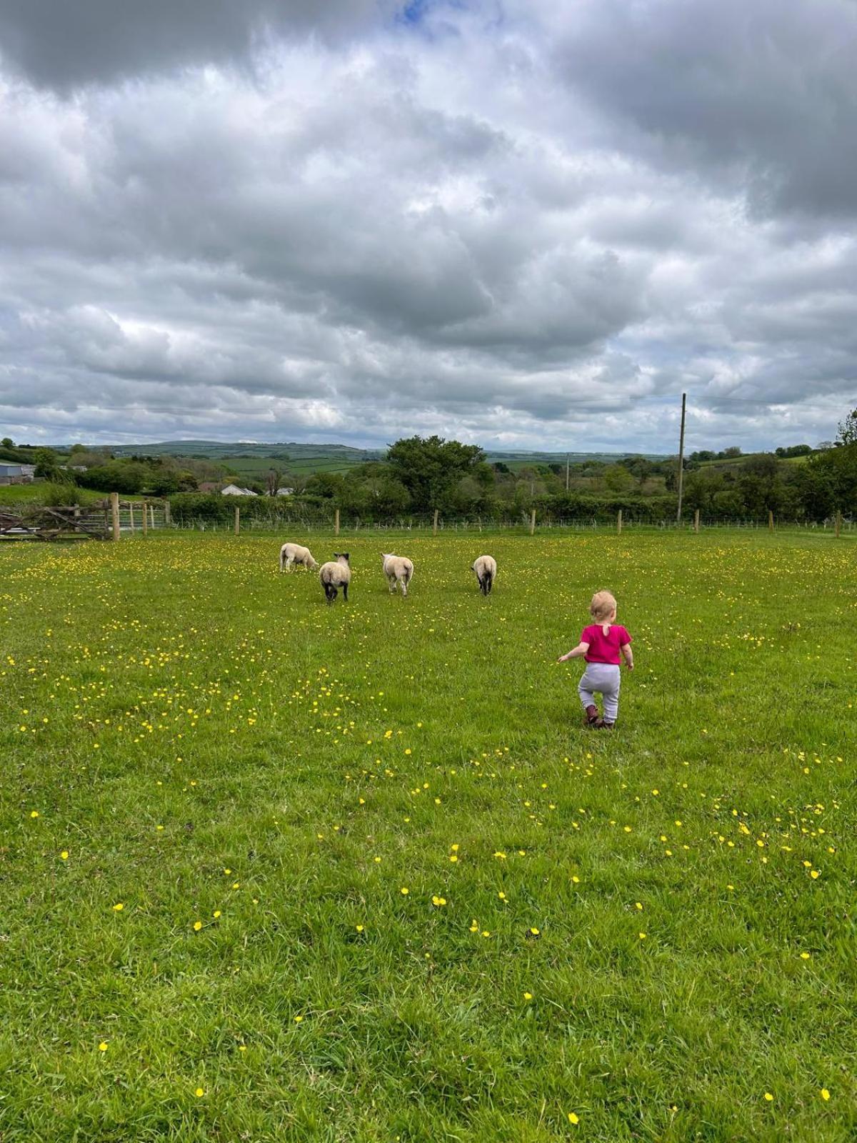 Yetland Farm Holiday Cottages Combe Martin Extérieur photo